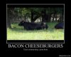 Bacon Cheeseburgers.jpg