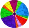 Wine-Aroma-Wheel.jpg