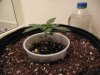 grow2update3 012 (640x480).jpg