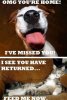 Dog vs cat greetings.jpg