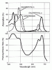 Par_action_spectrum(02-21-15-52-09).gif