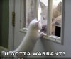 Got a warrant.jpg