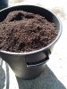 soil mix 3.jpg