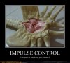 demotivational-posters-impulse-control.jpg