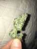 Black Jack Bud.JPG