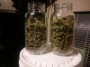 BB Kush Half Gallon Jars.jpg