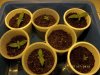 Sprouts_Day_5_27_July_2012.jpg