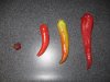 pulled peppers 001.JPG