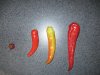 pulled peppers 003.JPG