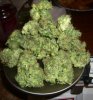 RRF_7-27-12 HARVEST 5.jpg