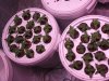 seedling day 14.jpg