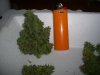 CD 1 HARVEST_10-2-12 3.jpg