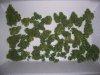 CD 1 HARVEST_10-2-12 4.jpg