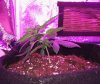 Day 19 LST - Copie.jpg