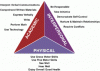 b1c9e-holism-triangle.gif