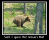 Bear shitting in the woods.png