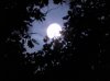 SEPTEMBER MOON 2011-1.JPG