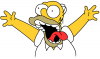 Homer.png