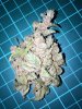 dinafem blue cheese bud a.JPG