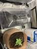 Hi I am new to the site and this will be the first time I share my grow