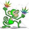 GreenMonkey