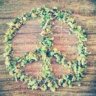 Green n' Peace