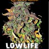 Lowlife seeds