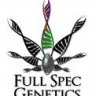 Full Spec Genetics