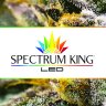 Spectrum King LED