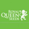 RoyalQueenSeeds