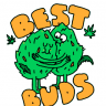 norry_buds