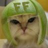 LimeCat