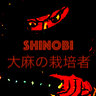 shinobi