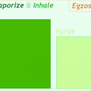 Egzoset's Ritual - Revised "Micro-Bursting" Method