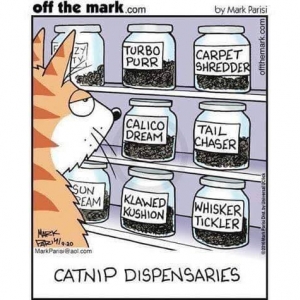 Catnip Dispensaries