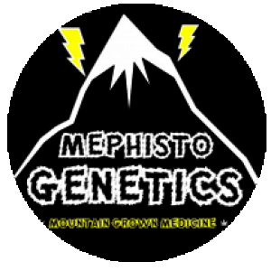 Mephisto logo round