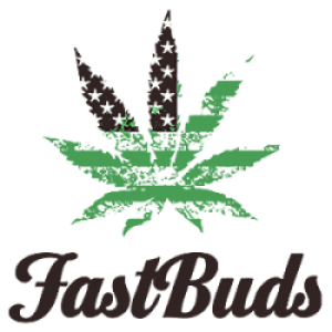 Fastbuds logo