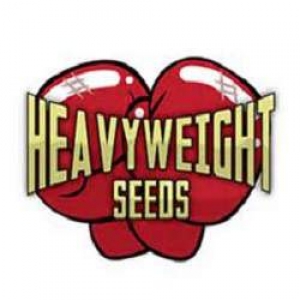 Heavyweight logo