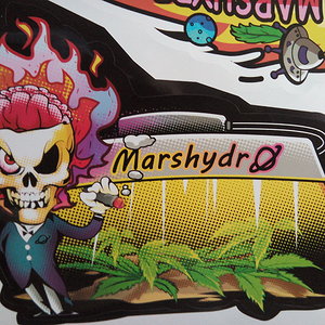 Marshydrotsw2000