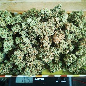 Fast Buds - Bruce Banner - 110g