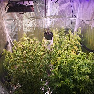 Group Shot - Day 53