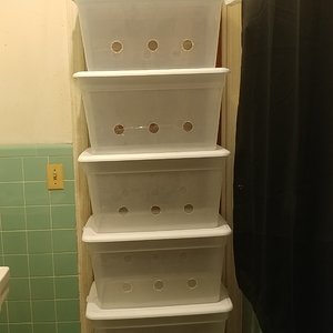 Mushroom Grow Setup