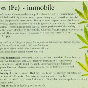 Iron-info-marijuana