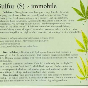 Sulphur-info-marijuana