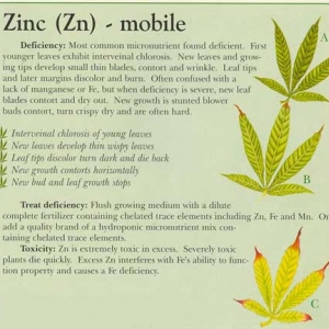 Zinc-info-marijuana