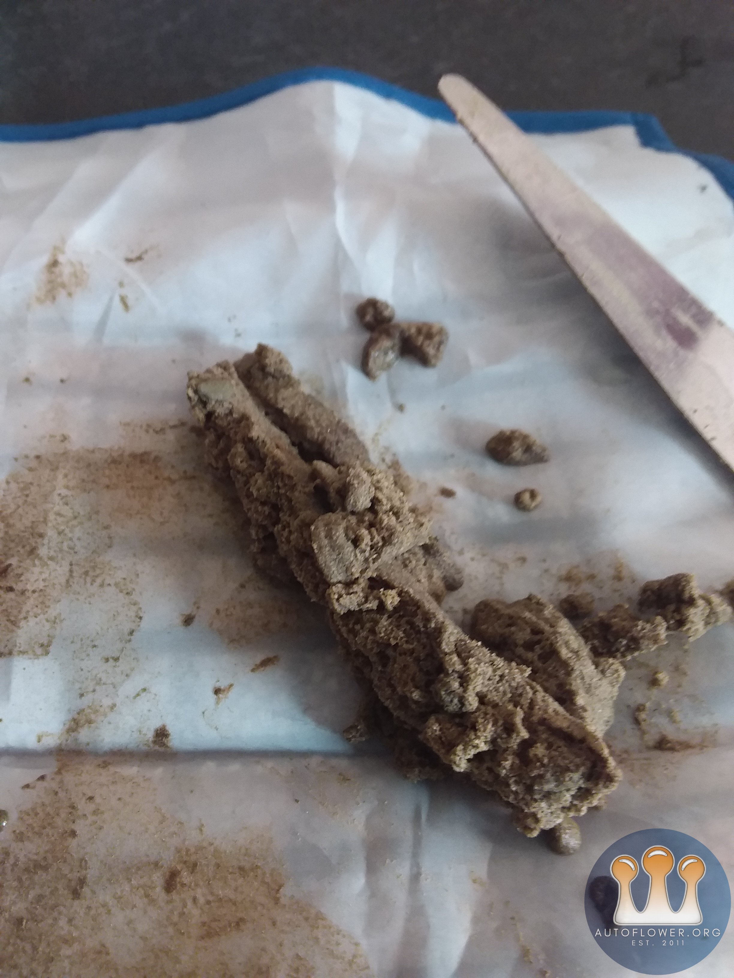 75 micron bubble hash