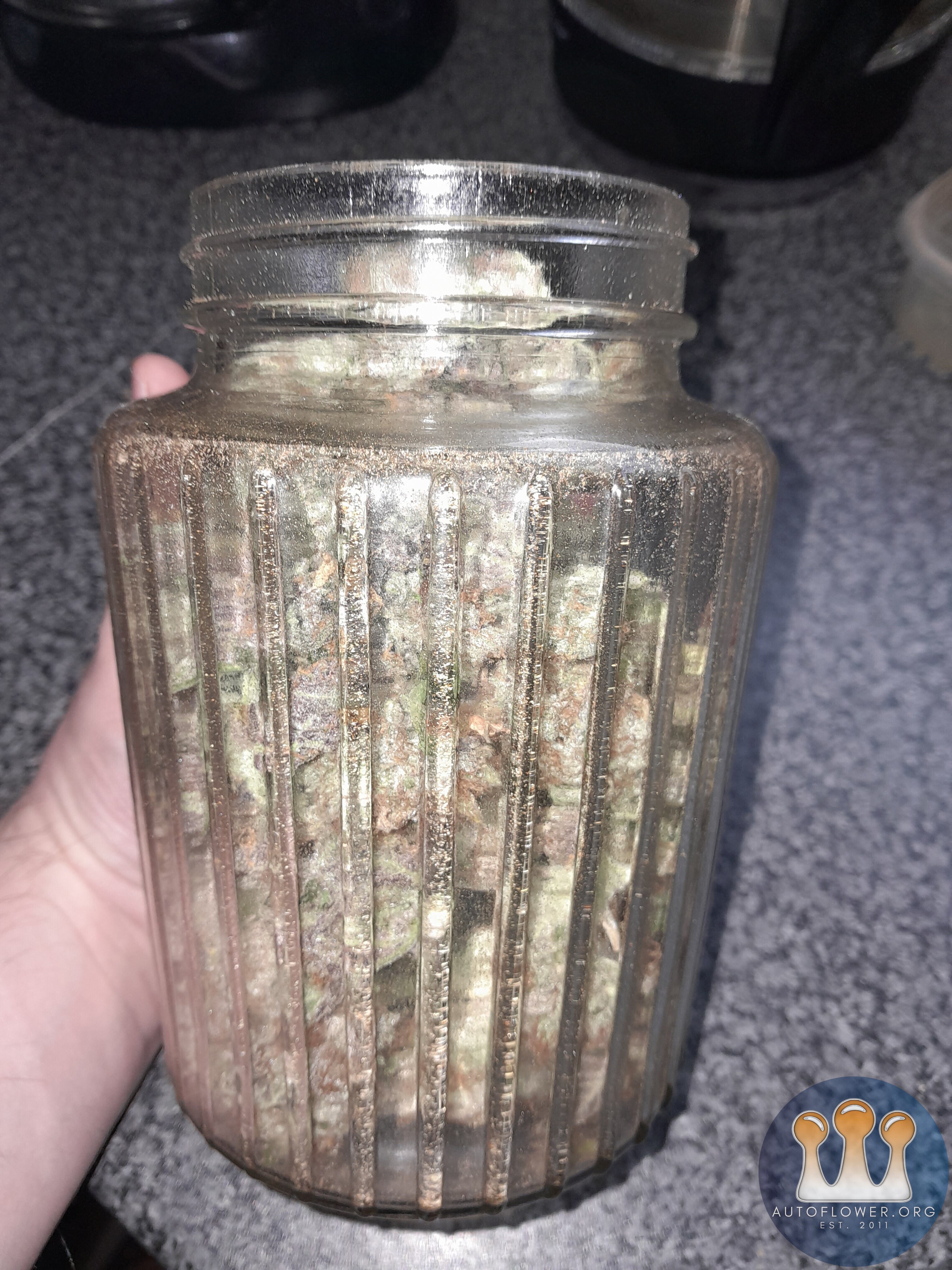 A jar of nugz gen2