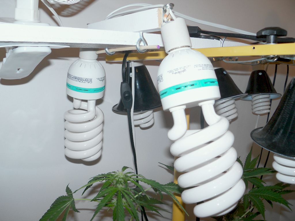 Alternative Lamp Supports