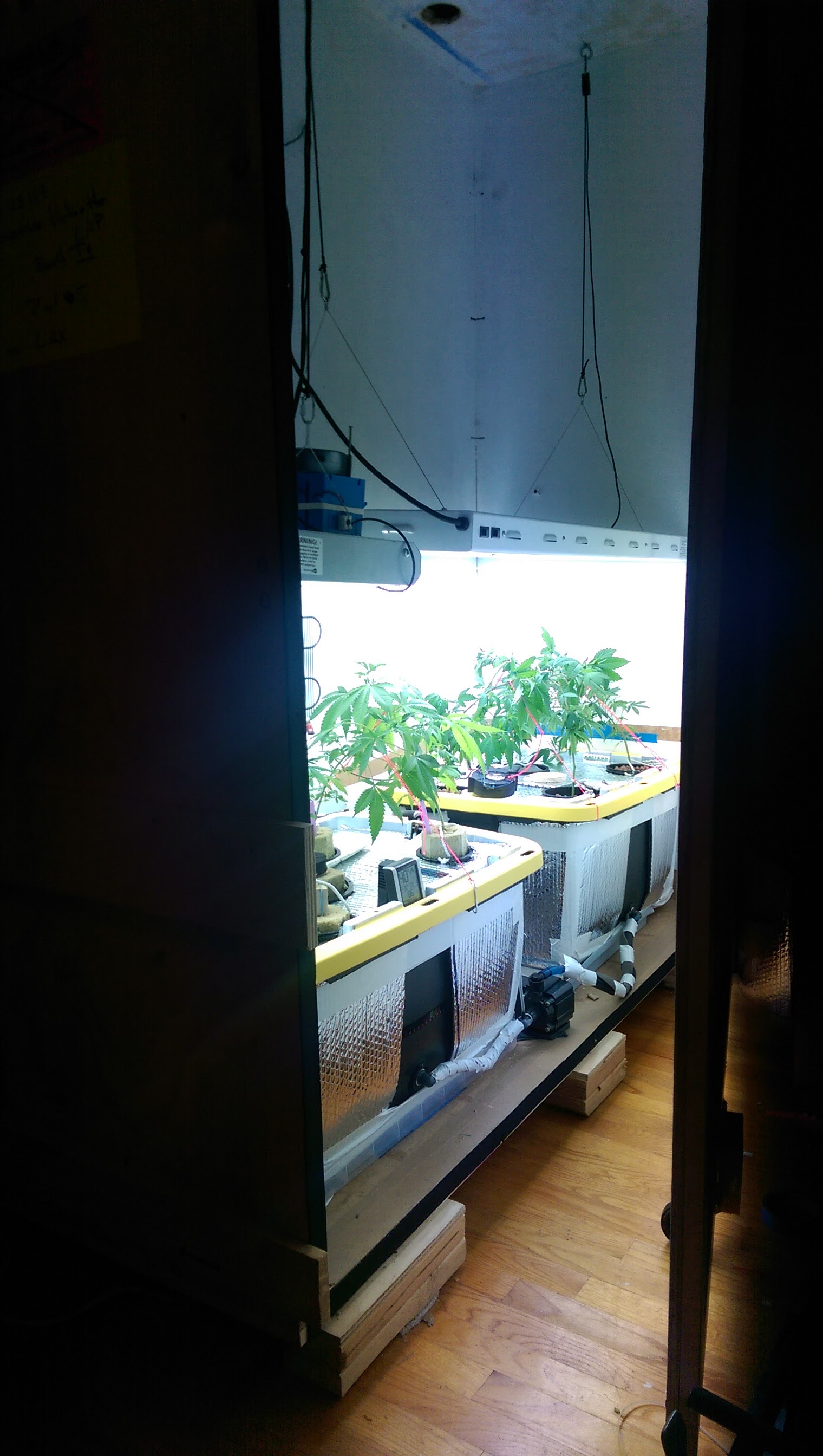 Clearing out veg room for autos