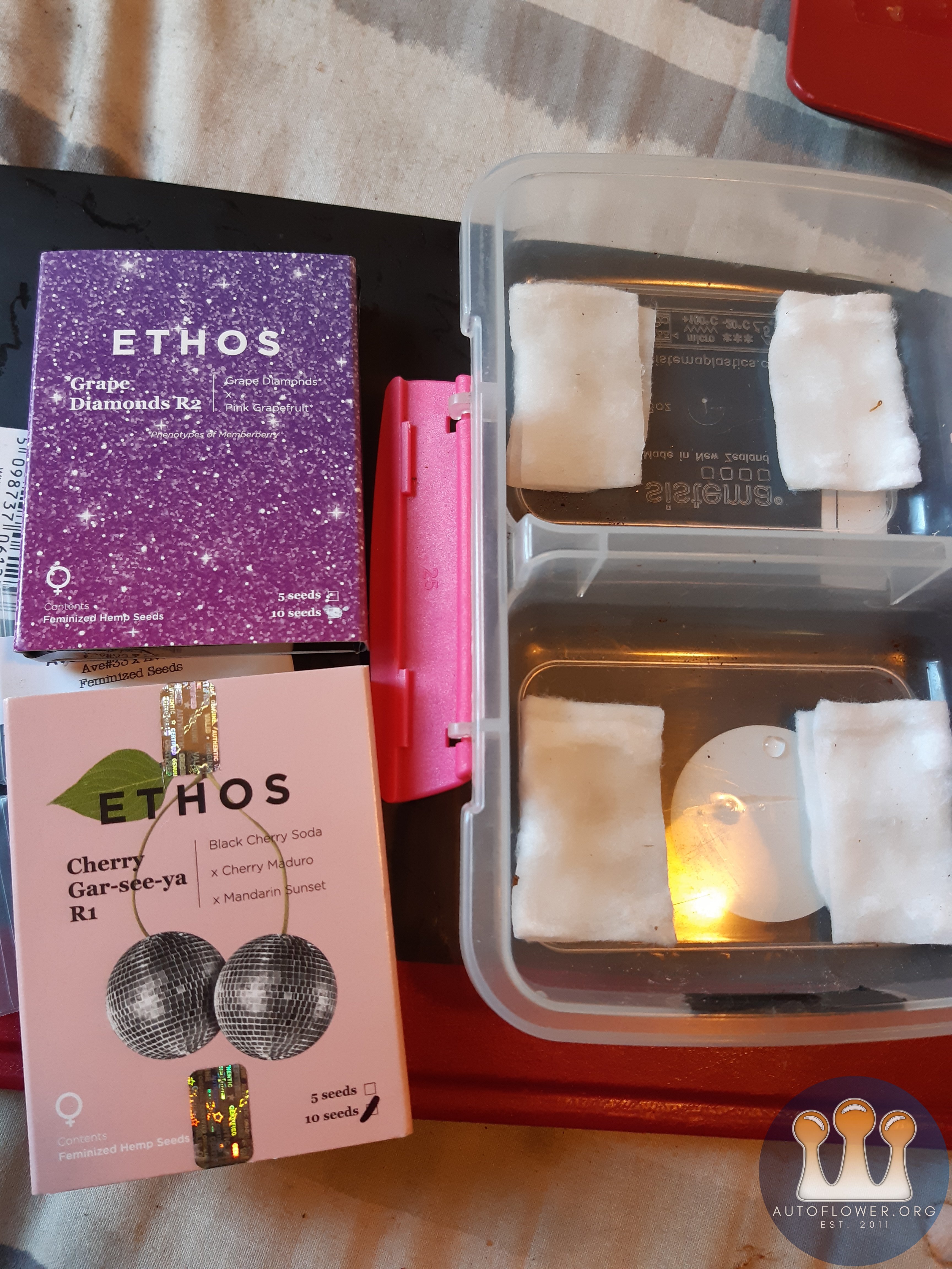 Ethos genetics